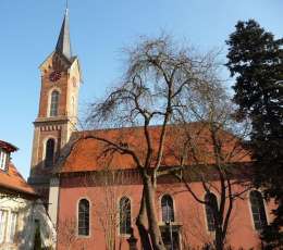 Restaurierung einer Kirchenbank für die Haardter Kirche