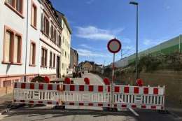 Informatives aus dem DENZINGER-Haus:
