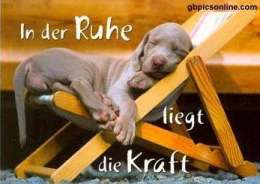 Informatives aus dem DENZINGER-Haus: