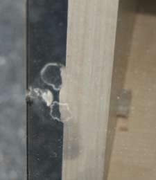 Heute etwas ganz Neues.